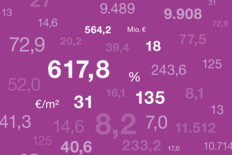Lagebericht, Bericht des Aufsichtsrats und Jahresabschluss 2020