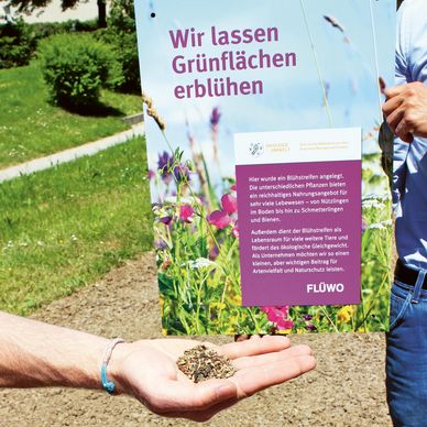 Auf der Blühwiese sollen die FLÜWO-Bienen und andere Insekten Nahrung finden. Das Informationsschild zum Pilotprojekt dient als „Wegweiser“ für Passanten und Anwohner.
