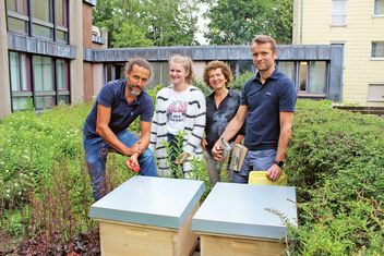 Die FLÜWO-Bienen sind da – ein Beitrag zur Artenvielfalt
