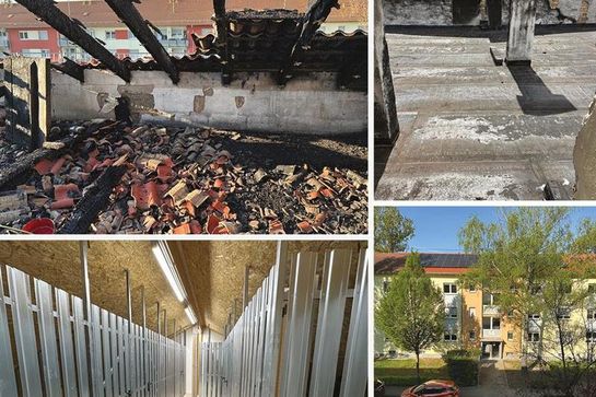 Wiederaufbau im Heidelberger Pfaffengrund erfolgreich abgeschlossen 